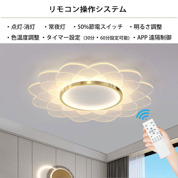 ryd-095 照明 シーリングライト 調光 調色 常夜灯 リモコン付き タイマー 6畳 8畳 12畳 明るい LED 北欧風 子供部屋 寝室 リビング ダイニング キッチン おしゃれ 器具 かわいい 高級感 ゴールド ホワイト