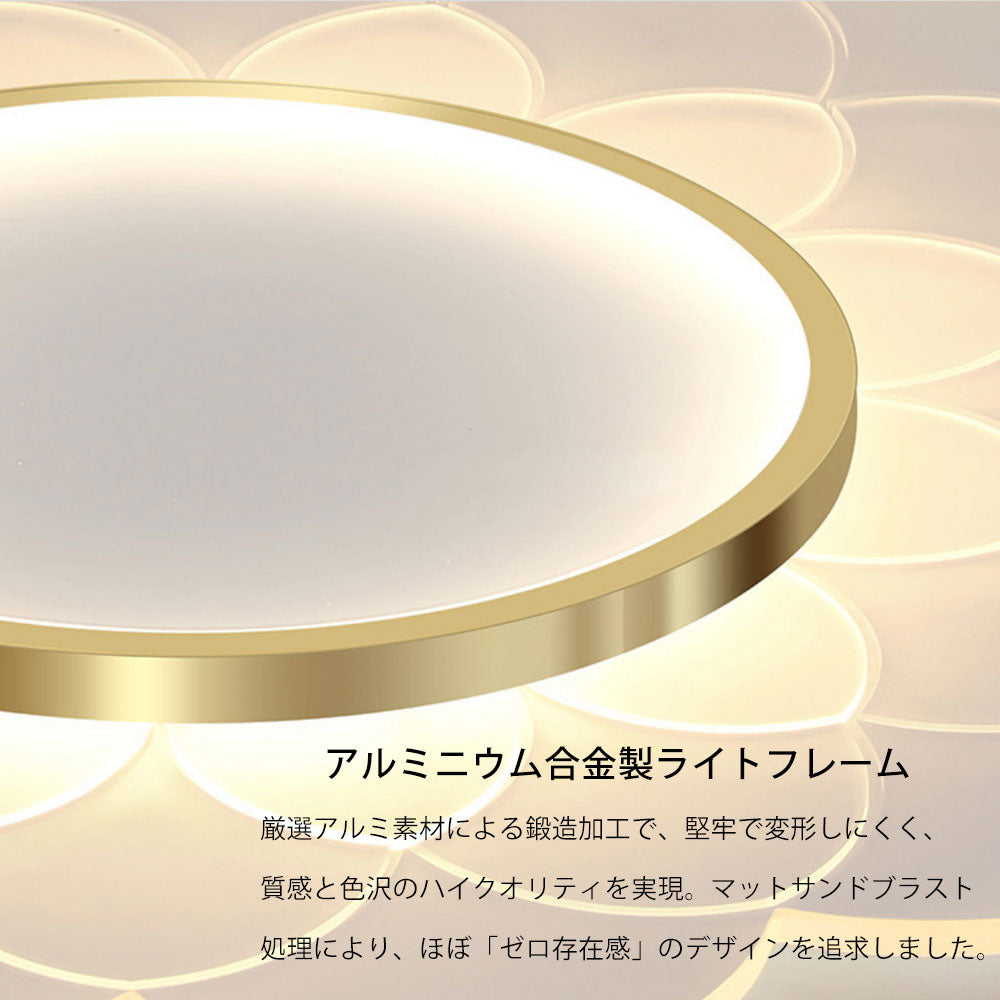 ryd-095 照明 シーリングライト 調光 調色 常夜灯 リモコン付き タイマー 6畳 8畳 12畳 明るい LED 北欧風 子供部屋 寝室 リビング ダイニング キッチン おしゃれ 器具 かわいい 高級感 ゴールド ホワイト