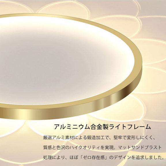 ryd-095 照明 シーリングライト 調光 調色 常夜灯 リモコン付き タイマー 6畳 8畳 12畳 明るい LED 北欧風 子供部屋 寝室 リビング ダイニング キッチン おしゃれ 器具 かわいい 高級感 ゴールド ホワイト