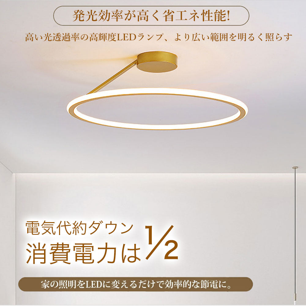 ryd-170【5年保証】シーリングライト モダン キッチン リビング ダイニング 子供部屋 寝室 6畳 8畳 12畳 常夜灯 調光調色 リモコン付き タイマー 北欧風 LED 明るい 照明 おしゃれ 高級 かわいい ホワイト ブラック ゴールド 直径40cm 直径50cm