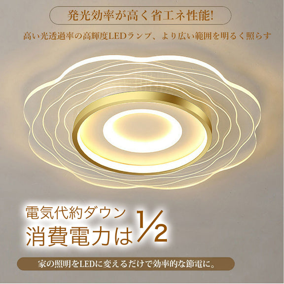 ryd-166【5年保証】シーリングライト モダン キッチン ダイニング 寝室 子供部屋 リビング 6畳 8畳 12畳 リモコン付き 調光調色 タイマー 常夜灯 北欧風 LED 明るい 照明 おしゃれ かわいい 高級感 ゴールド 直径20cm 直径40cm 直径50cm