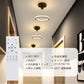 ryd-172【5年保証】シーリングライト モダン リビング 子供部屋 キッチン 寝室 ダイニング 8畳 6畳 12畳 LED 北欧風 明るい おしゃれ 照明 高級感 かわいい リモコン付き 常夜灯 調光調色 タイマー ブラック ゴールド 直径20cm
