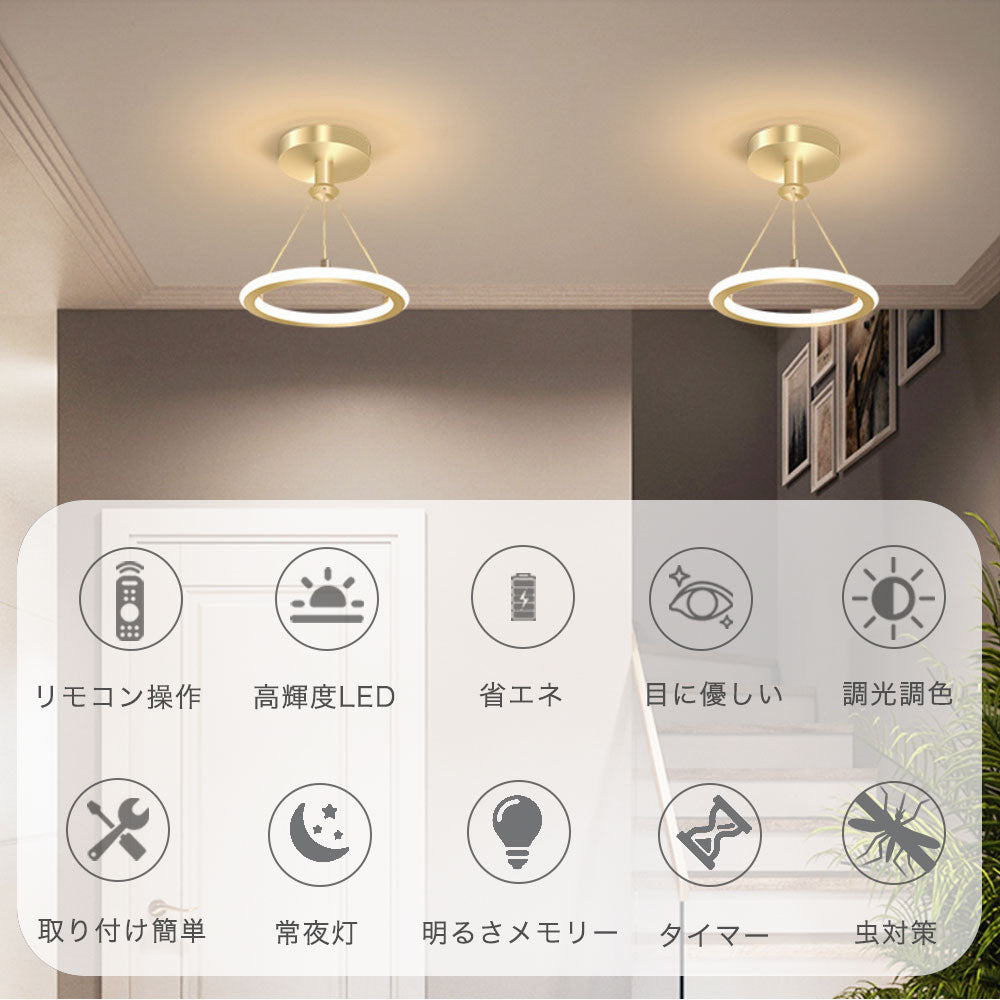 ryd-172【5年保証】シーリングライト モダン リビング 子供部屋 キッチン 寝室 ダイニング 8畳 6畳 12畳 LED 北欧風 明るい おしゃれ 照明 高級感 かわいい リモコン付き 常夜灯 調光調色 タイマー ブラック ゴールド 直径20cm