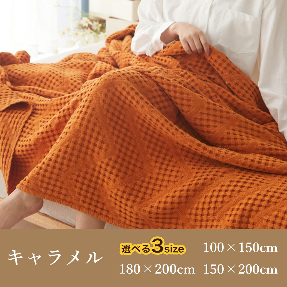 毛布 洗える 掛け毛布 ブランケット オールシーズン ひざ掛け 膝掛け 軽量 マイクロファイバー シングル セミダブル ダブル あったか チェック 夏 春 秋 新生活 一人暮らし おしゃれ かわいい 無地